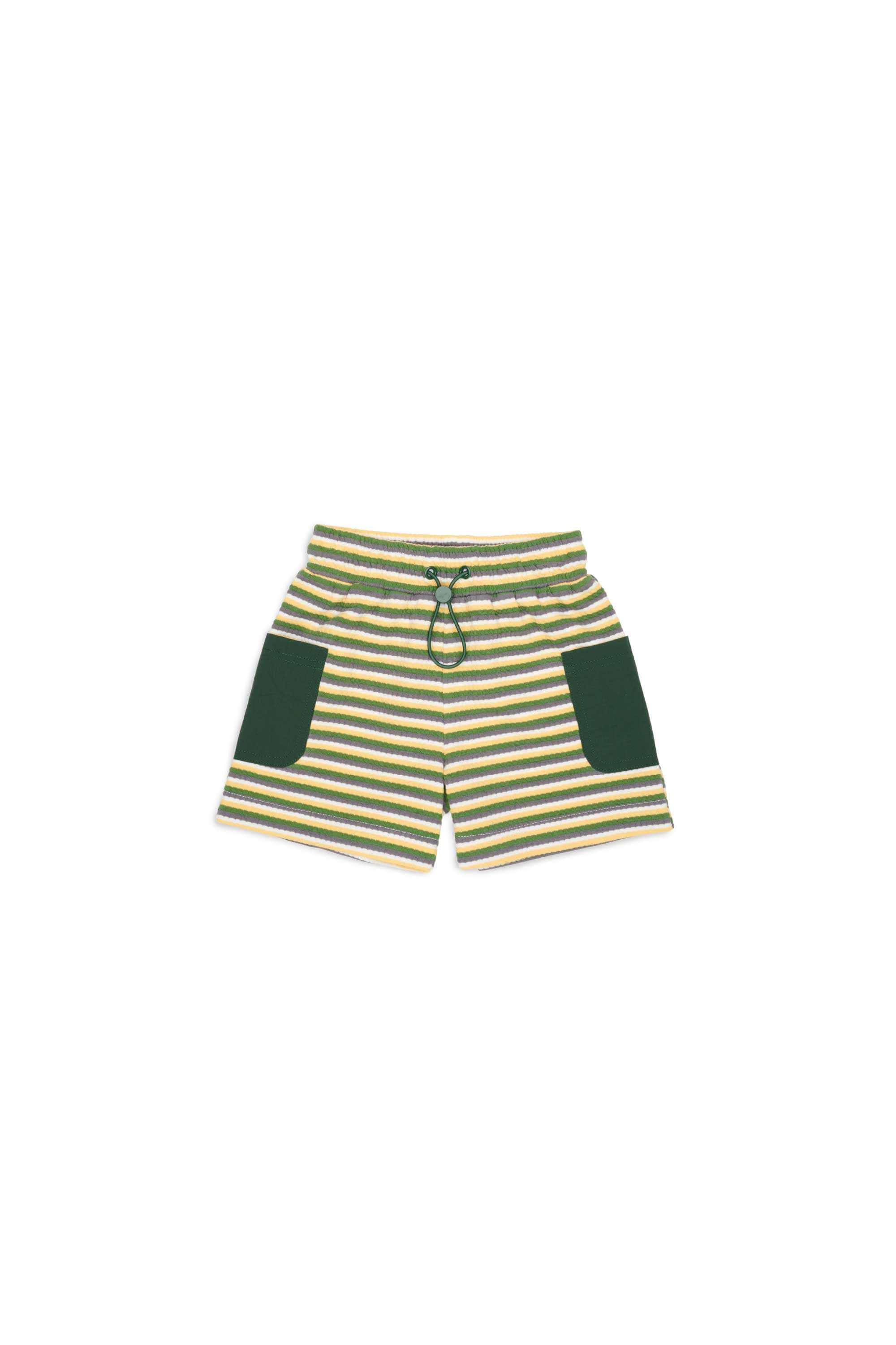 Olive Multi