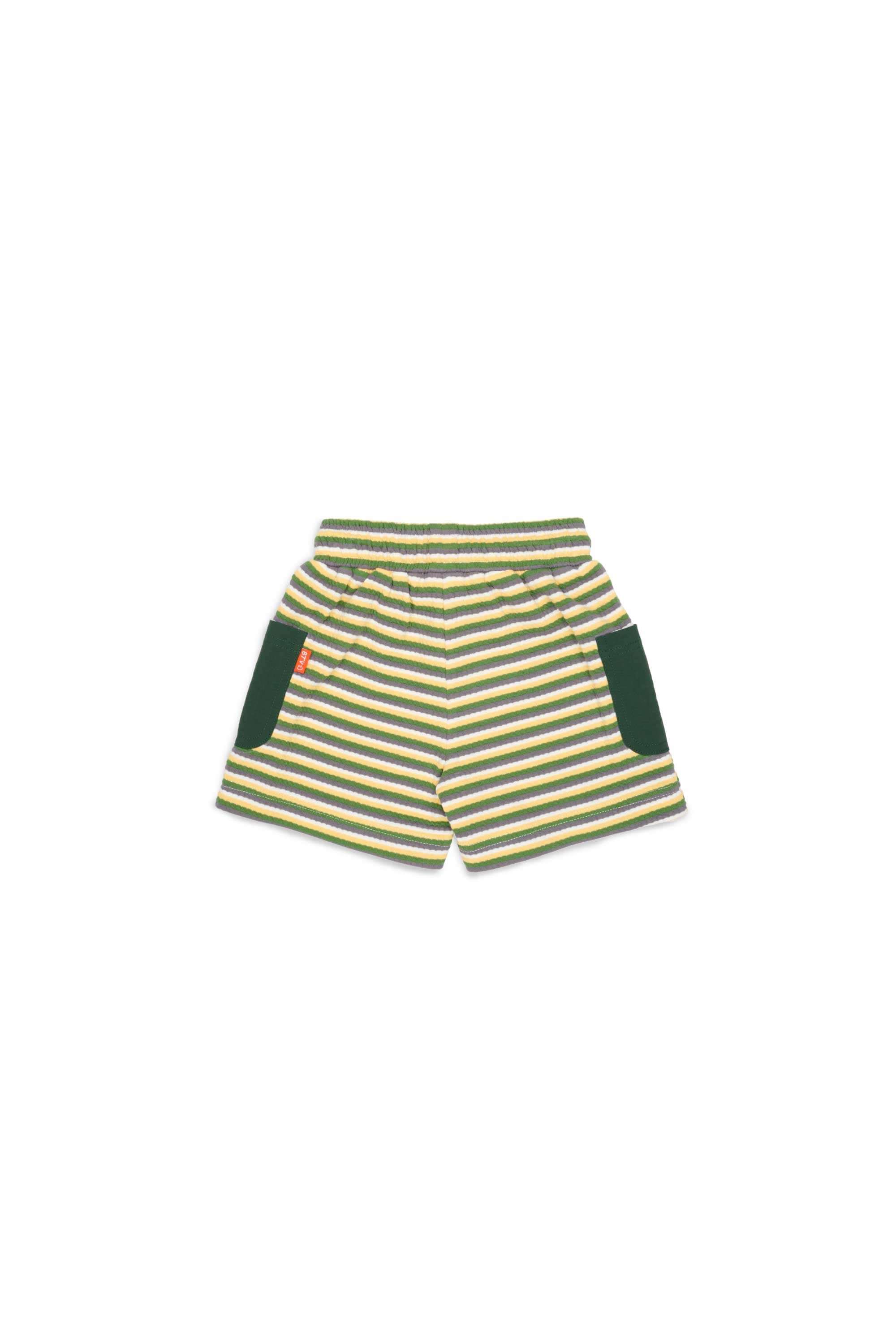 Olive Multi