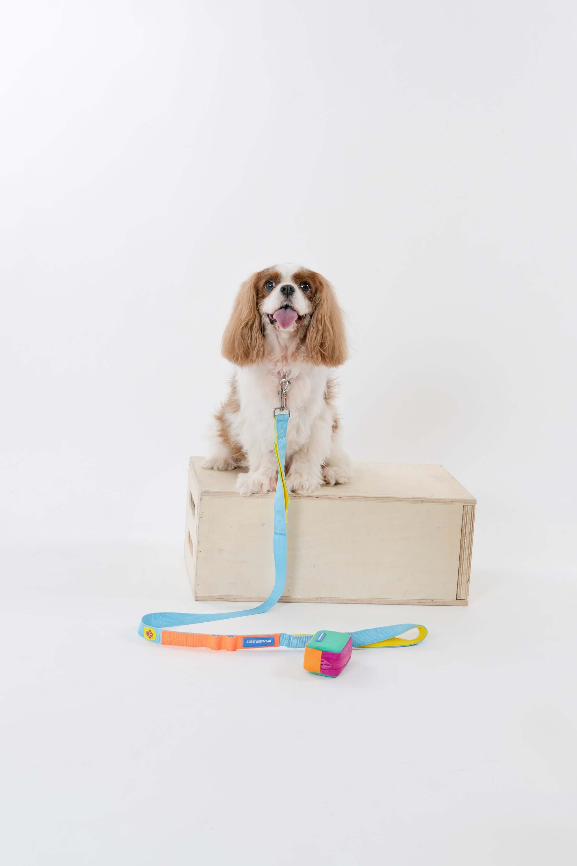 Light Blue Colourblock