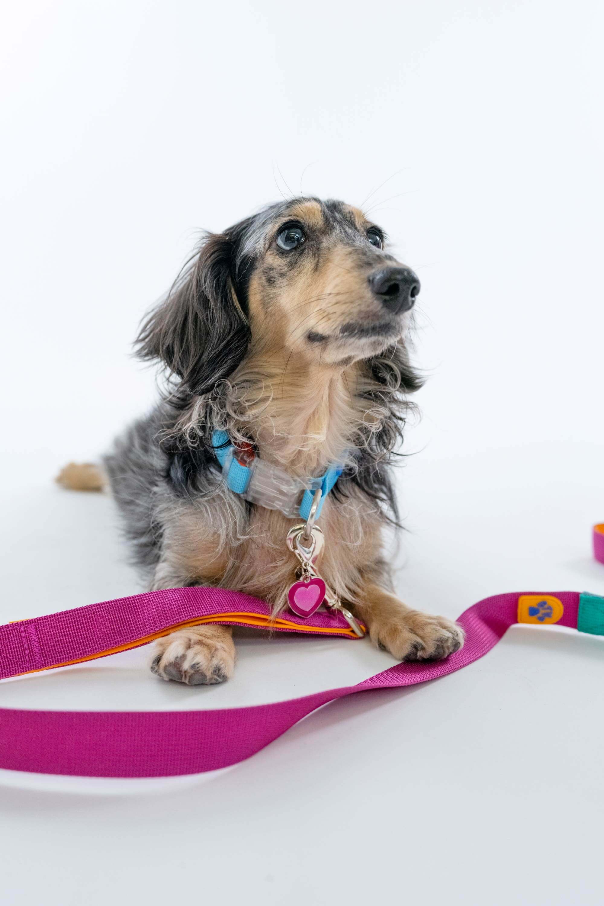 Light Blue Colourblock