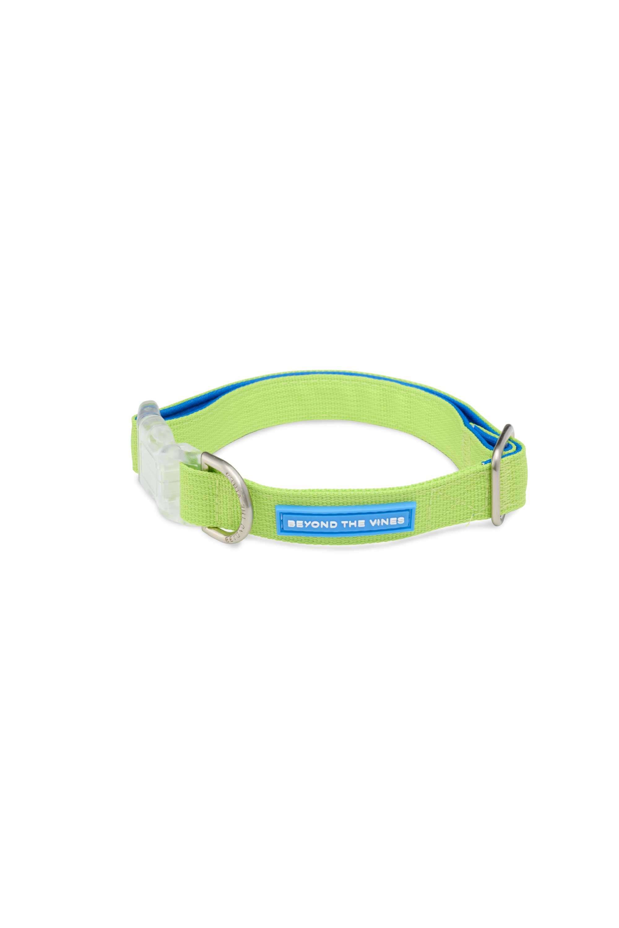 Neon Green Colourblock